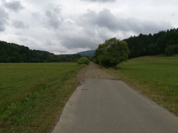 Trasa biegu od strony Wołowca, widać fragment góry Mareszka. Z tego miejsca do mety niewiele ponad 1 km, w oddali widoczny Wiesław Kozioł z Dzikie Życie RunTeam. Fot. Grzegorz Bożek