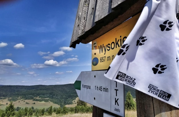 Z Wysokiego piękny widok na lasy i łąki Magurskiego Parku Narodowego. Droga Krempna-Żydowskie-Grab znajduje się poniżej, zagraża najważniejszemu korytarzowi migracyjnego w Karpatach. Fot. Alan Weiss