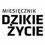 Dzikie-Zycie