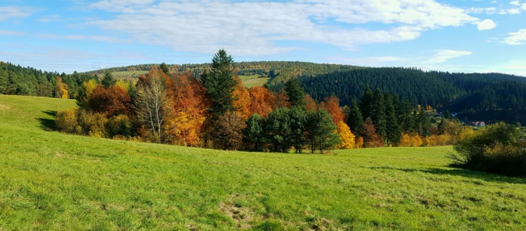 Łemkowyna 2016. Fot. Jacek Futiakiewicz