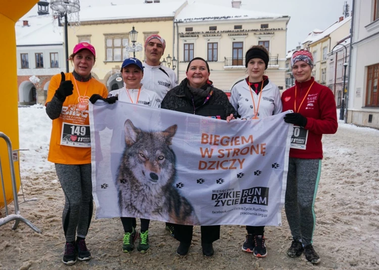 wosp-2017-krosno-01.jpg